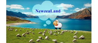 BW Amazing New Zealand Tour 7 Days 0