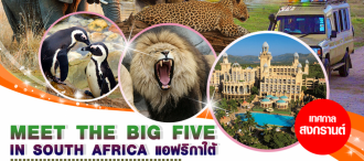 MEET THE BIG FIVE IN SOUTH AFRICA 8D5N