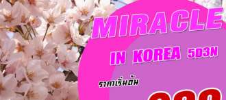 MIRACLE IN KOREA 5D3N LJ 0